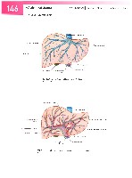 Sobotta  Atlas of Human Anatomy  Trunk, Viscera,Lower Limb Volume2 2006, page 153